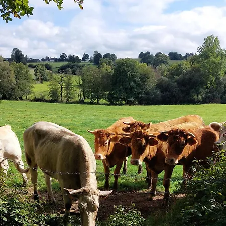 Hébergement de vacances Maison La Rivière