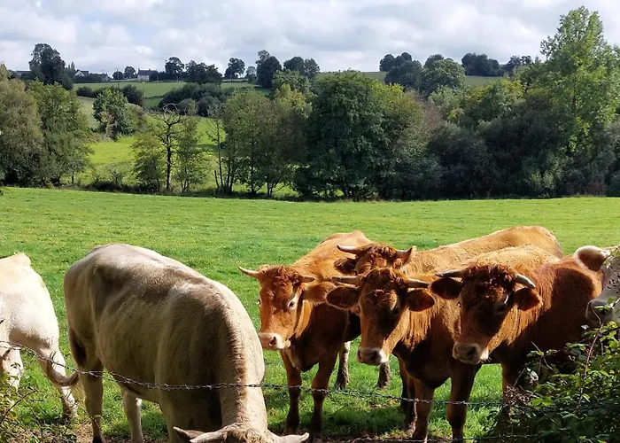 Nyaraló Maison La Riviere